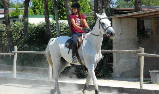 Il mondo dell'equitazione barese: tra gare, storie e amore per i cavalli